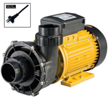 Davey QB Series 2HP Single Speed Pump Fine Thread C38 - The Spa Shop