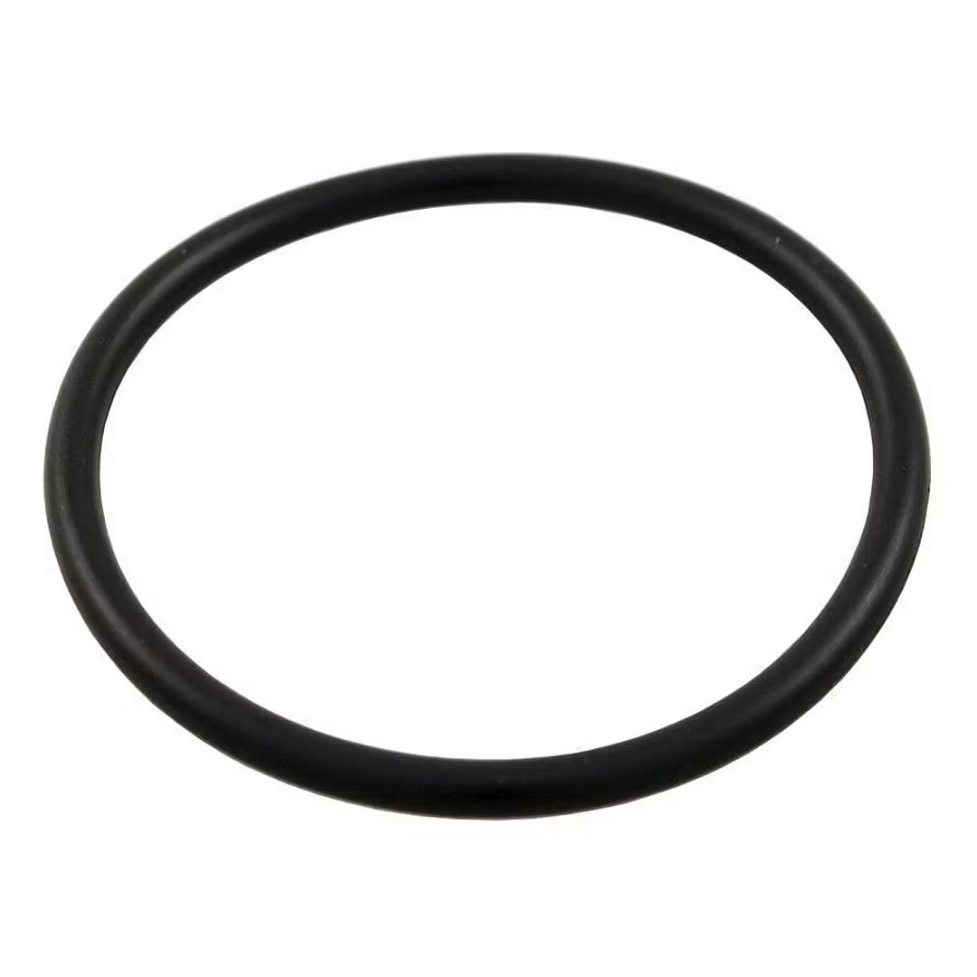 Aqua-Flo Circ Master union o’ring - The Spa Shop