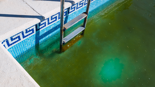 How to Fix a Green Pool