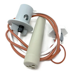 Hotspring Spas Replacement ACE Cell