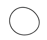 O'RING: QB/LX/XS Pump Body