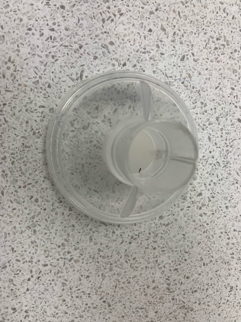 Kokido replacement dome (vacuum) - The Spa Shop