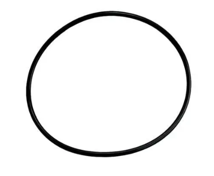 O'RING: Aqua-Flo Circ Master Pump Body - The Spa Shop